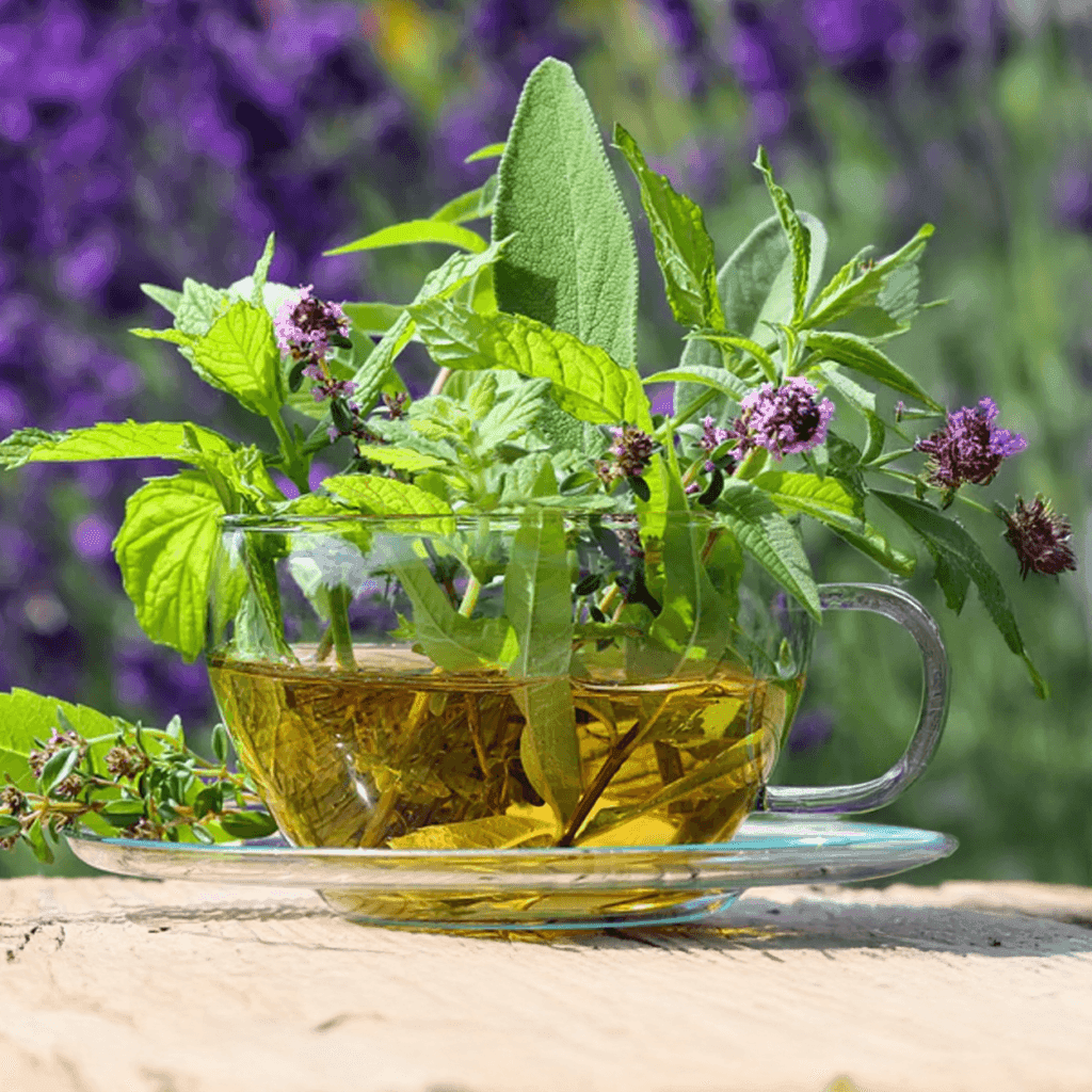 De geur Verbena